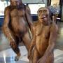 En nog meer Neanderthalers. 