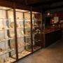 In de drukkerij was een leuke collectie fossielen, mineralen en oude gereedschappen. 
