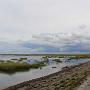 Even een stukje langs het water lopen en vogels spotten. 