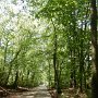 Onderweg naar de Tongerense heide.