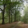 En weer verder, het bos in.